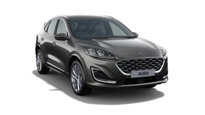  Vignale